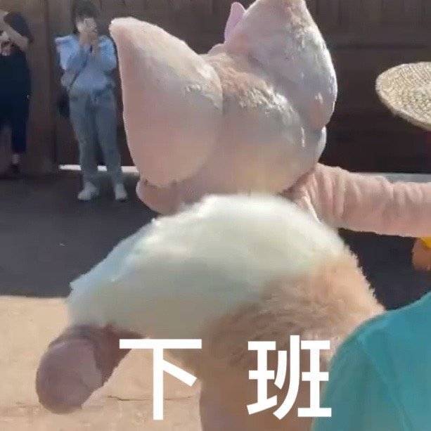 《微博》川沙妲己玲娜贝儿表情包