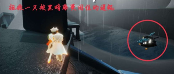 《光遇》11.10每日任务怎么完成