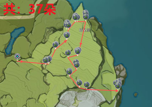 《原神》塞西莉亚花采集位置