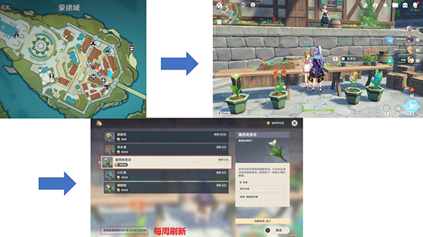 《原神》塞西莉亚花采集位置