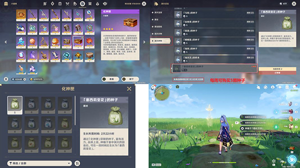 《原神》塞西莉亚花采集位置
