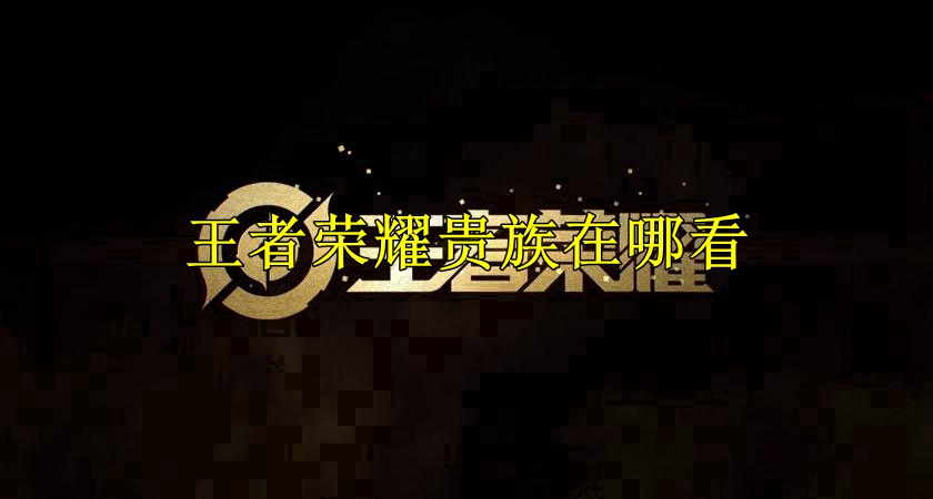 王者荣耀贵族在哪看