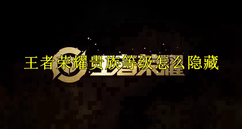 王者荣耀贵族等级怎么隐藏