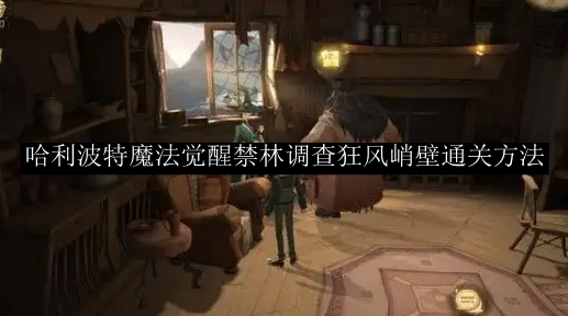 哈利波特魔法觉醒禁林调查狂风峭壁通关方法