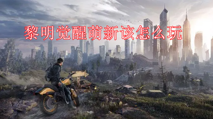 黎明觉醒萌新该怎么玩