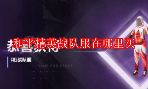 和平精英战队服在哪里买