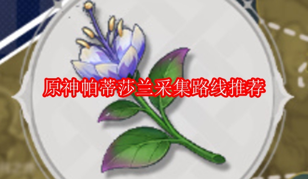 原神帕蒂莎兰采集路线推荐
