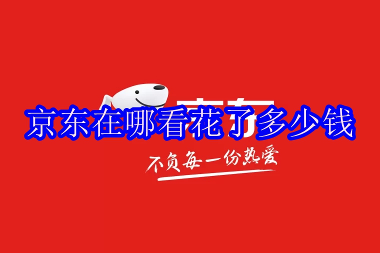 京东消费总额在哪可以查看看