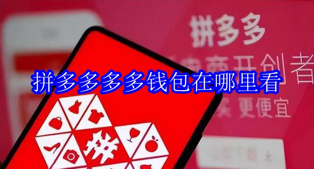 拼多多多多钱包在哪里看