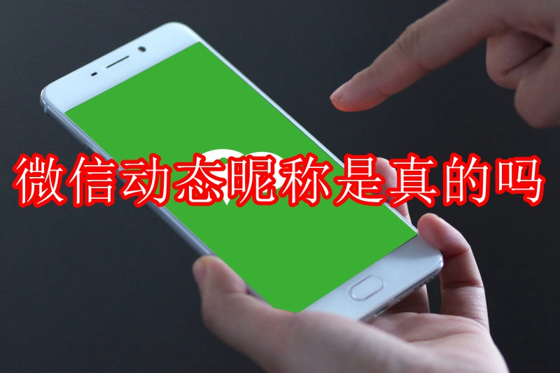 微信动态昵称是真的吗