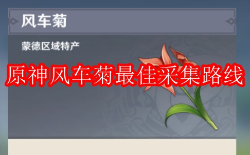 原神风车菊最佳采集路线