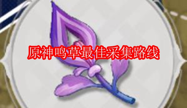 原神鸣草最佳采集路线
