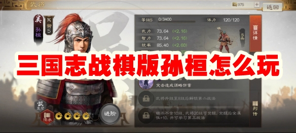 三国志战棋版孙桓怎么玩
