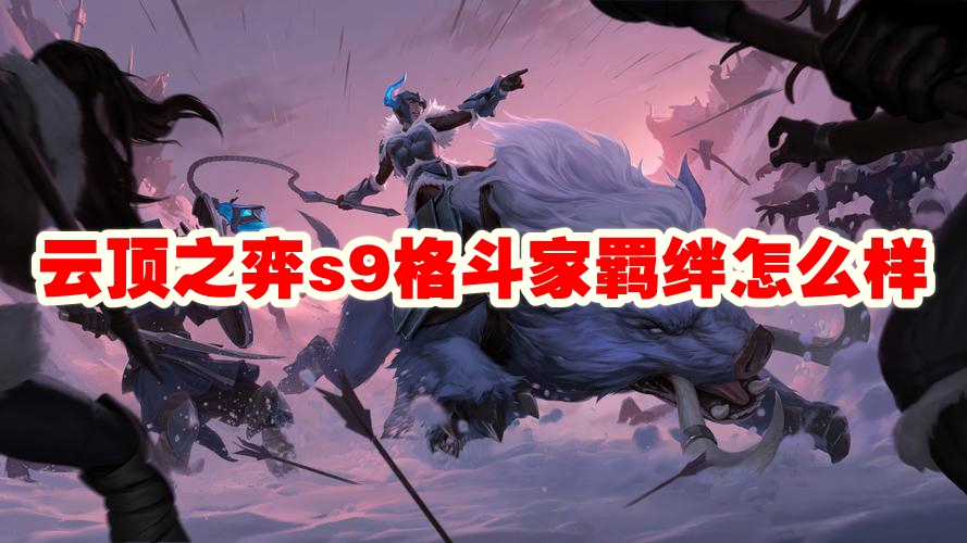 云顶之弈s9格斗家羁绊怎么样