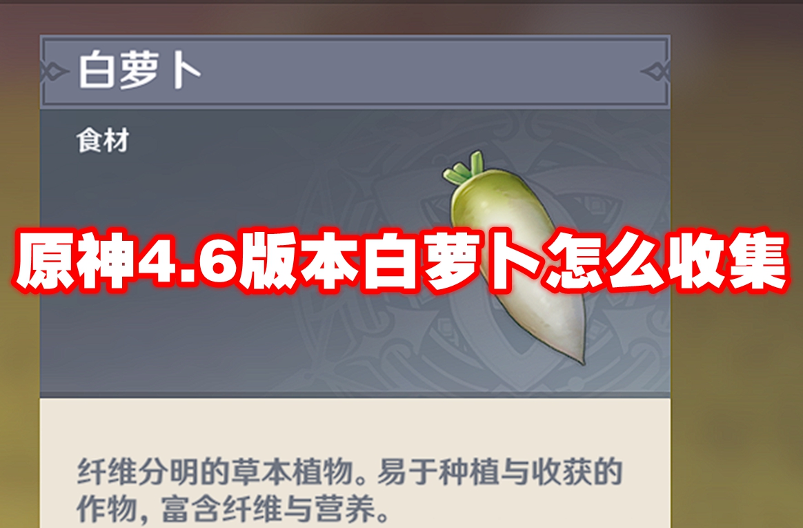 原神4.6版本白萝卜怎么收集