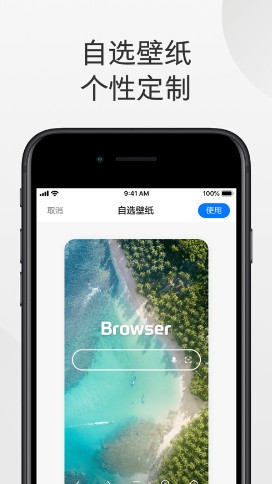极速浏览器软件截图