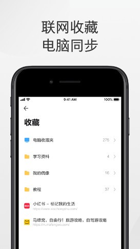 极速浏览器软件截图