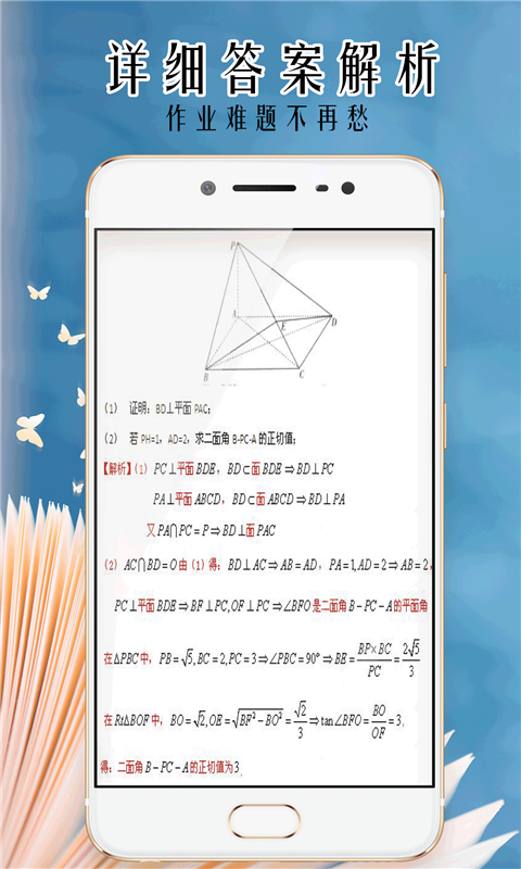 小笨鸟拍照搜题软件截图