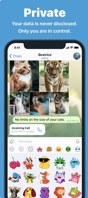 纸飞机软件截图