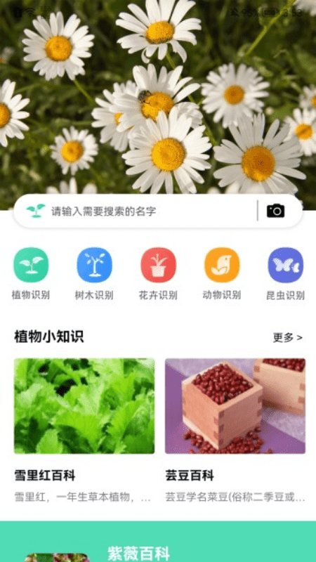 全能拍照识图软件截图