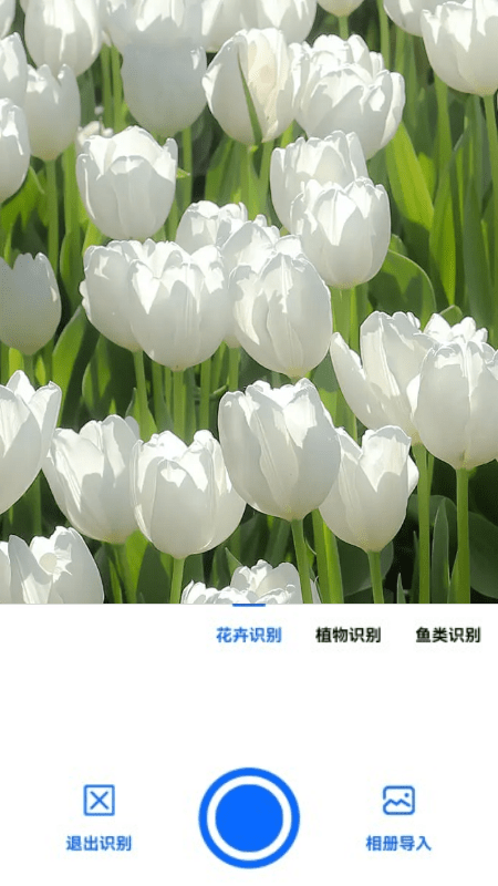 全能拍照识图软件截图