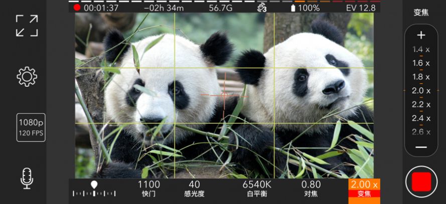 promovie专业相机软件截图