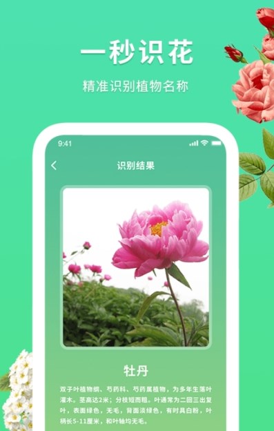 花伴识别软件截图
