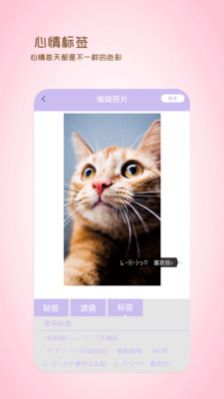 全能美日相机软件截图