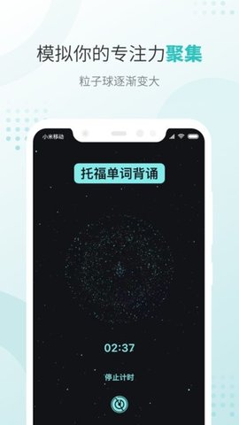 飞鱼专注软件截图
