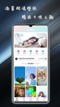 壁纸主题大全软件截图