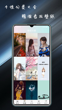 壁纸主题大全软件截图