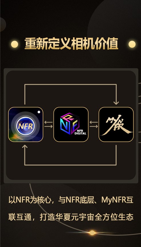 NFR相机软件截图