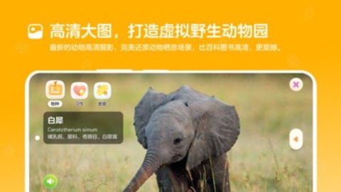 动来屋软件截图