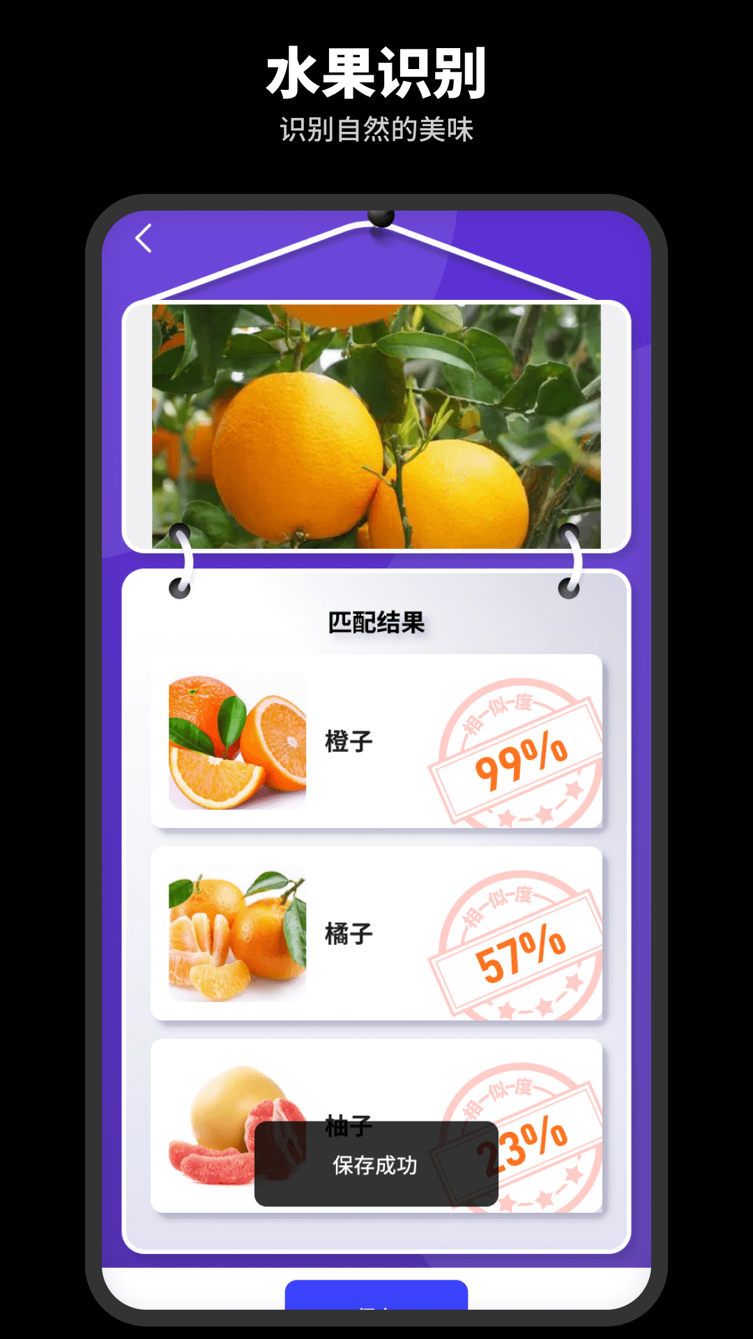 智能识别王软件截图