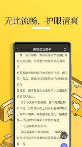 无敌小说软件截图