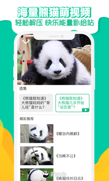 熊猫频道旧版软件截图
