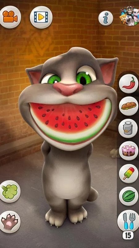会说话的汤姆猫手游截图