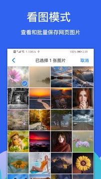alook软件截图
