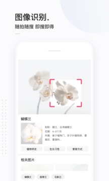 简单搜索软件截图