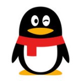 QQ hd软件下载