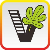 我要自学网软件下载