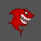 鲨鱼搜索app最新版