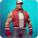 街头格斗家手游下载