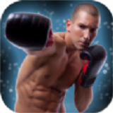 跆拳道明星手游下载