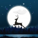 秀秀睡眠音乐软件下载