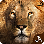 多人游猎手游下载