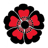 黑樱手游安卓版软件下载