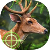 猎鹿动物狩猎手游下载