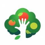 淘果果手游下载