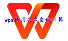 wps office怎么使用公式自动计算